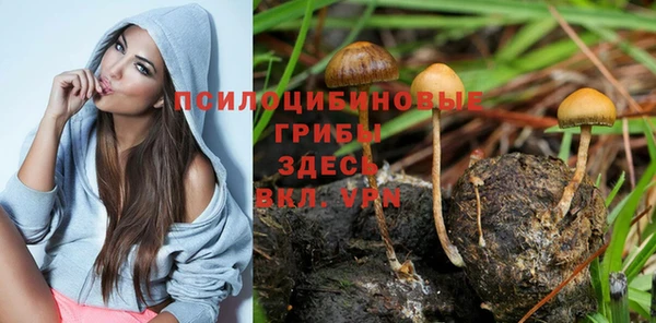 ECSTASY Аркадак