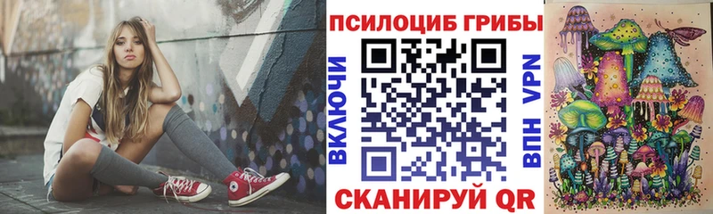 наркошоп  Сокол  mega   Псилоцибиновые грибы Psilocybe 